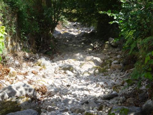 dry stream Picos